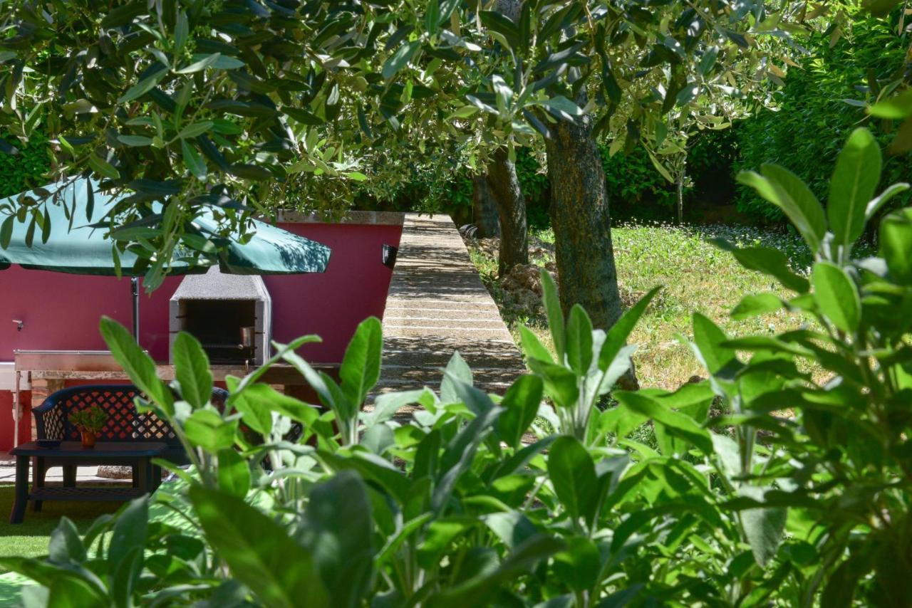 B&B Villa Passero Torricella Sicura Exteriér fotografie