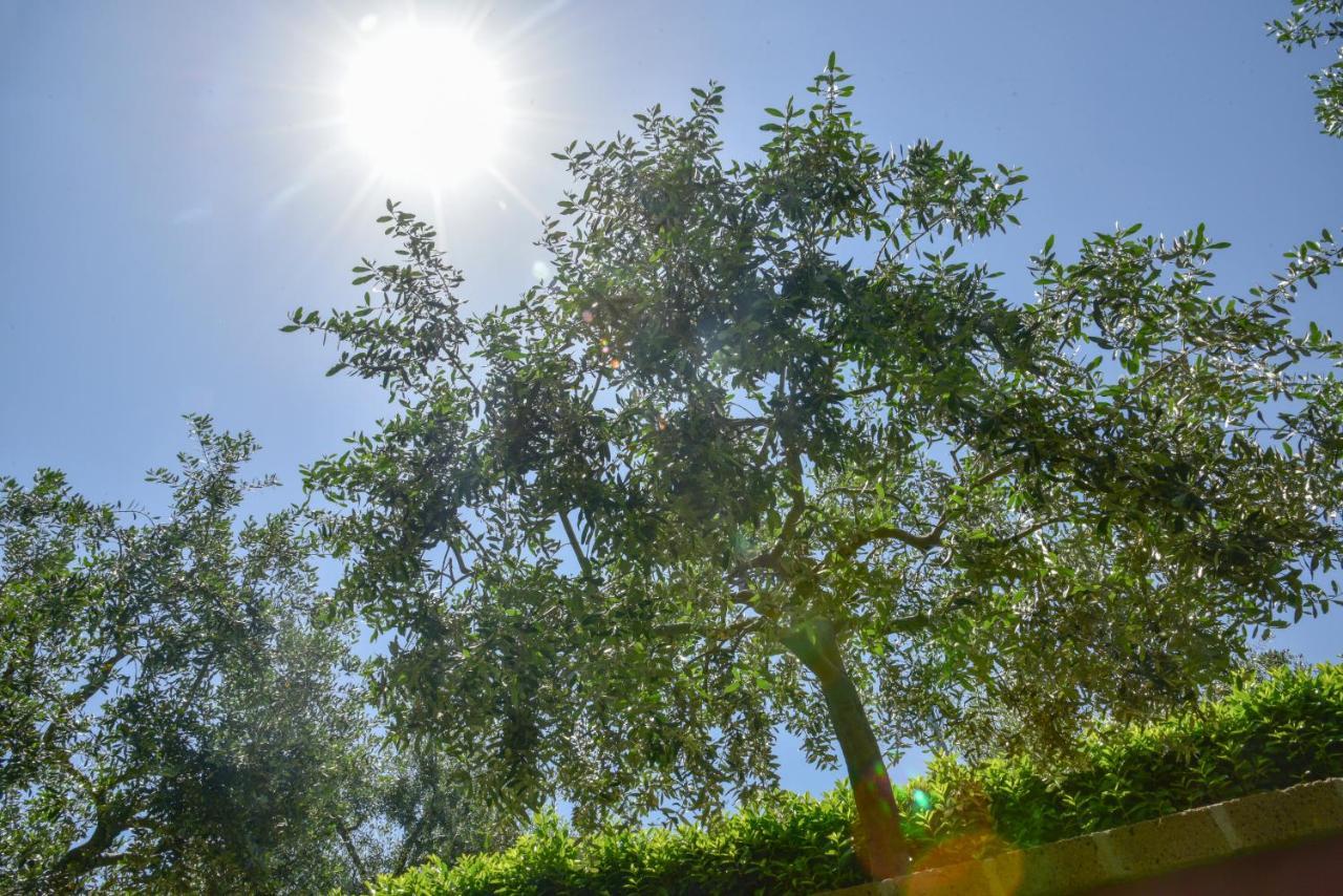 B&B Villa Passero Torricella Sicura Exteriér fotografie